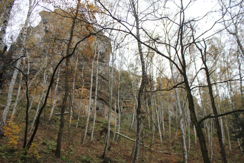 IMG_7171.JPG