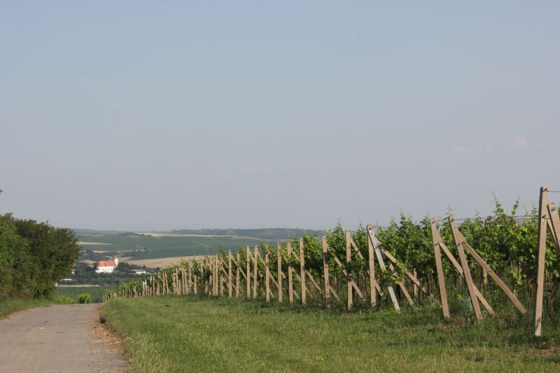 IMG_7291.JPG