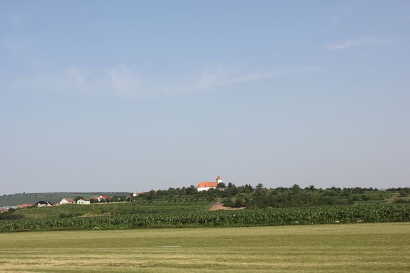 IMG_7303.JPG