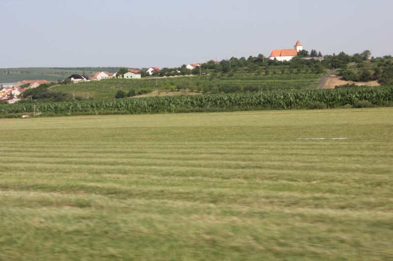 IMG_7304.JPG