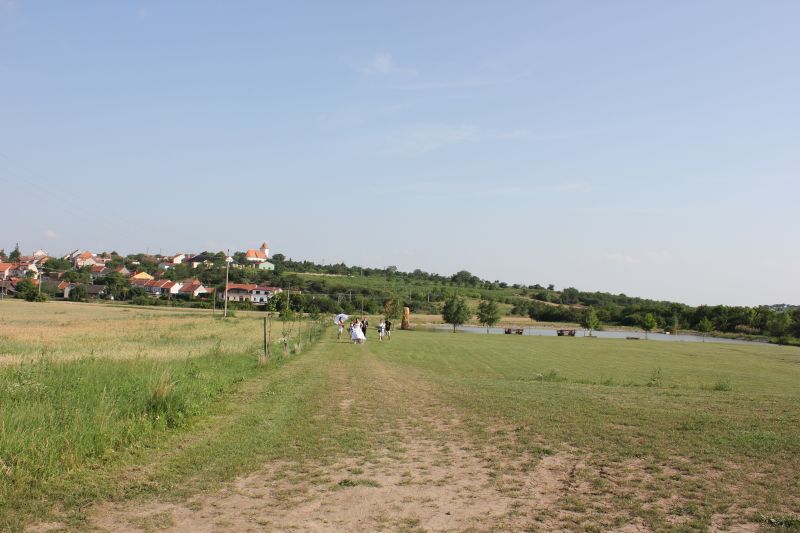 IMG_7307.JPG