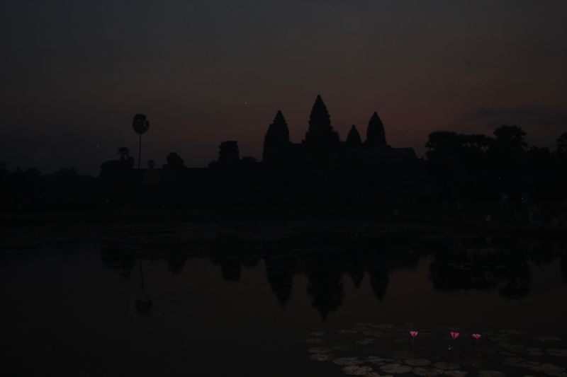 IMG_7401.JPG