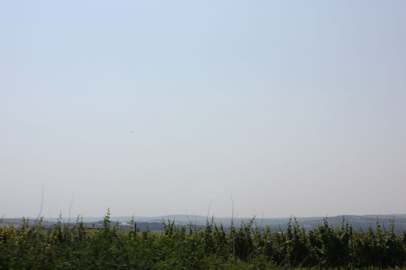 IMG_7416.JPG