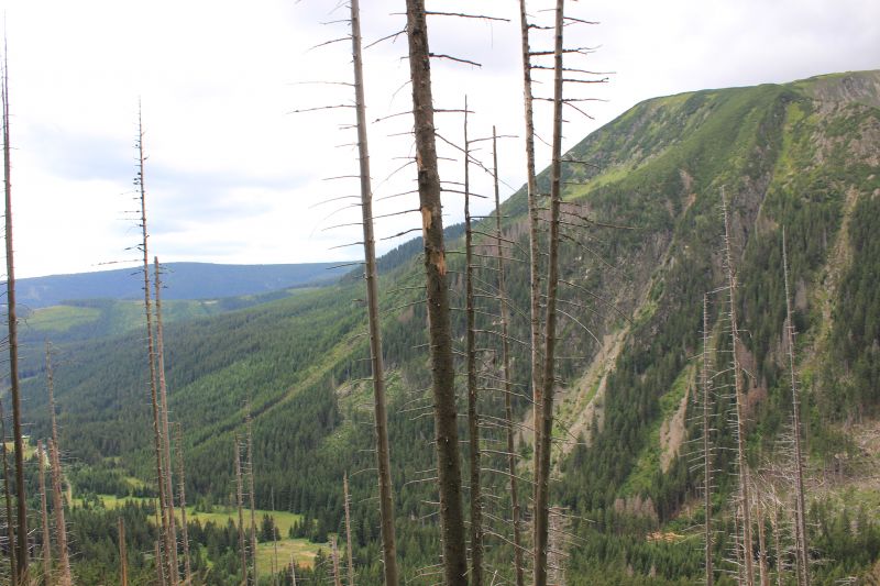 IMG_7895.JPG
