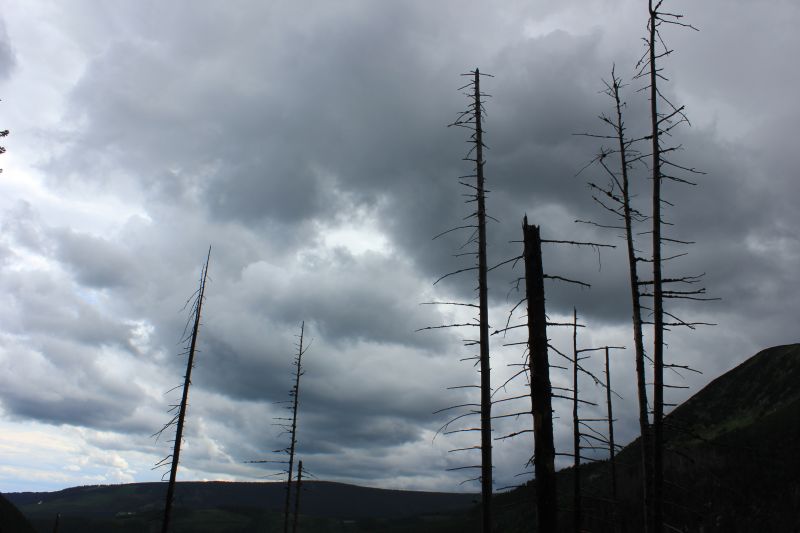 IMG_7896.JPG