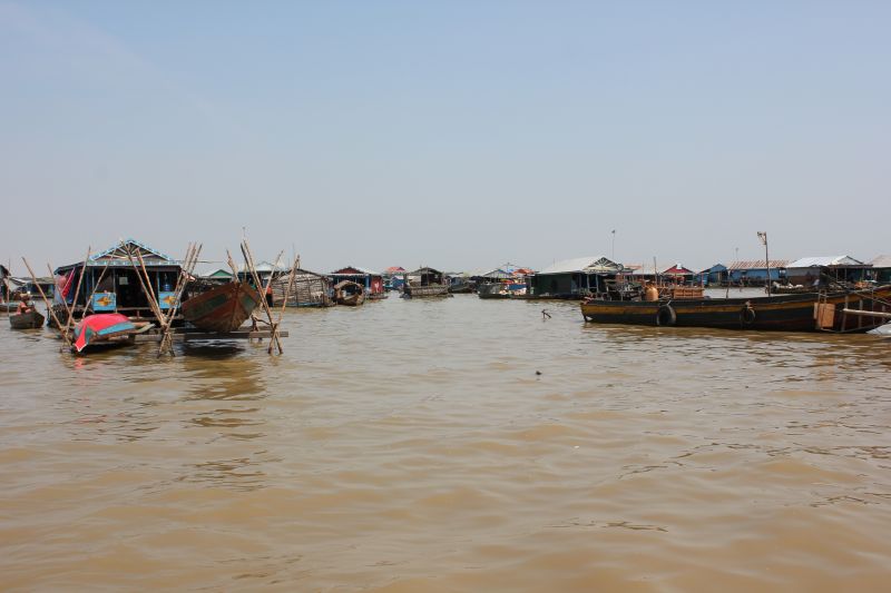 IMG_7987.JPG