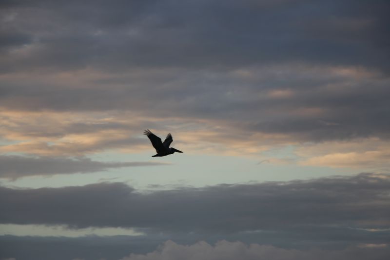 IMG_8027~3.JPG