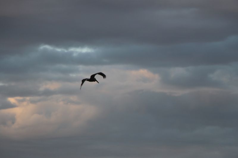 IMG_8030~1.JPG