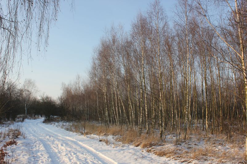 IMG_8037~0.JPG