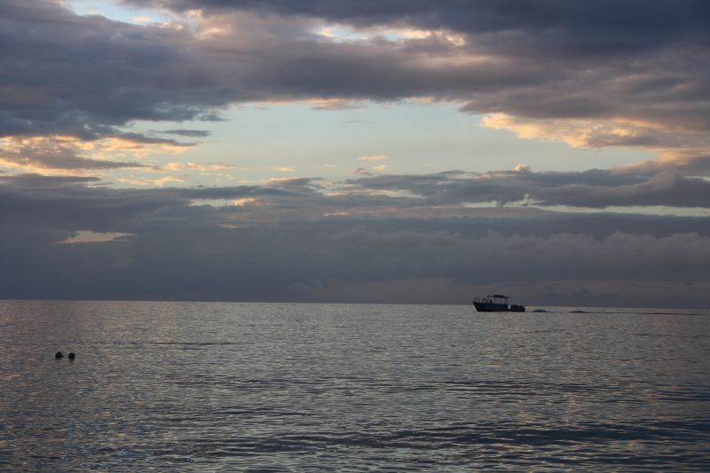IMG_8041~1.JPG