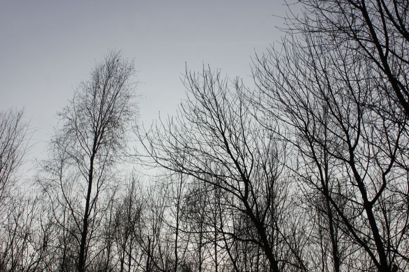 IMG_8051.JPG