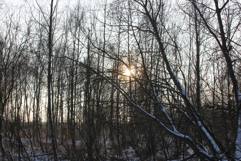 IMG_8052~0.JPG