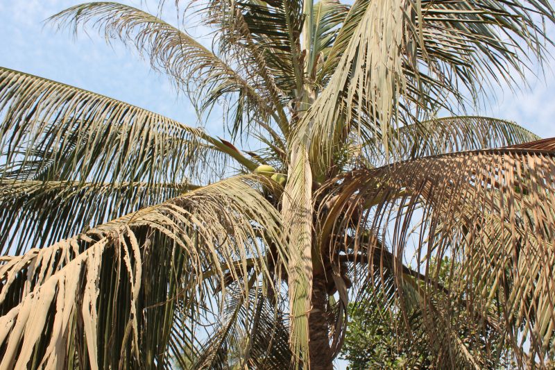 IMG_8080.JPG