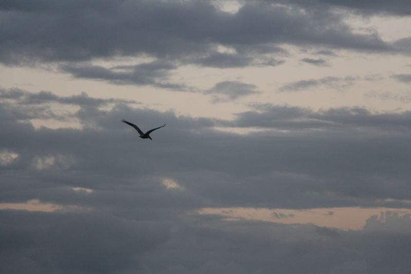 IMG_8080~1.JPG