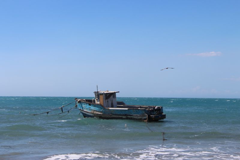 IMG_8337~1.JPG