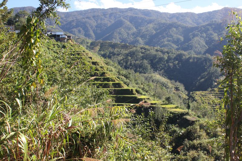 Banaue, provincie Ifugao - rýžové terasy - památka Unesco
