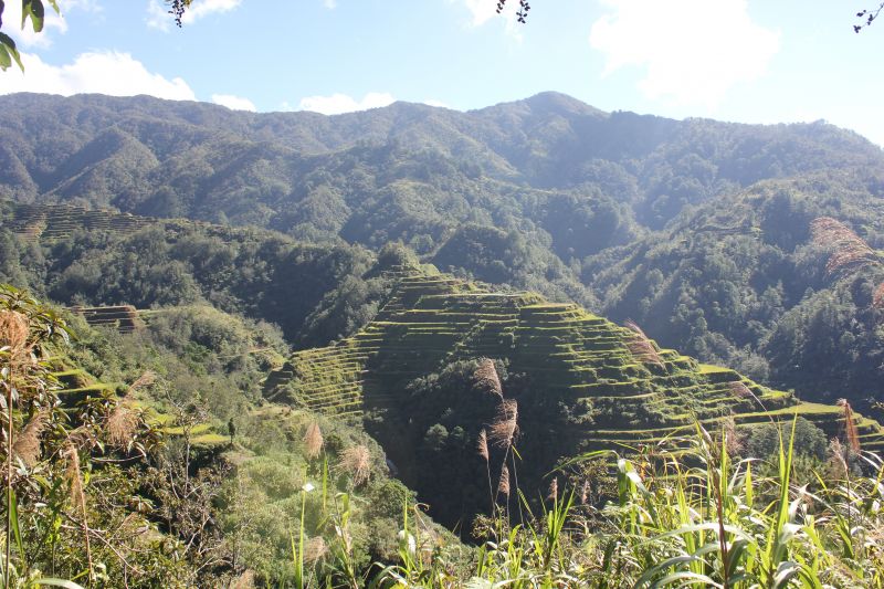 Banaue, provincie Ifugao - rýžové terasy - památka Unesco
