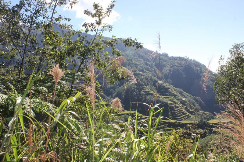 Banaue, provincie Ifugao - rýžové terasy - památka Unesco
