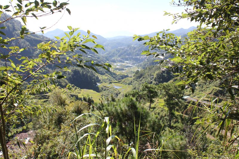 Banaue, provincie Ifugao - rýžové terasy - památka Unesco
