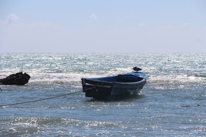 IMG_8346~4.JPG