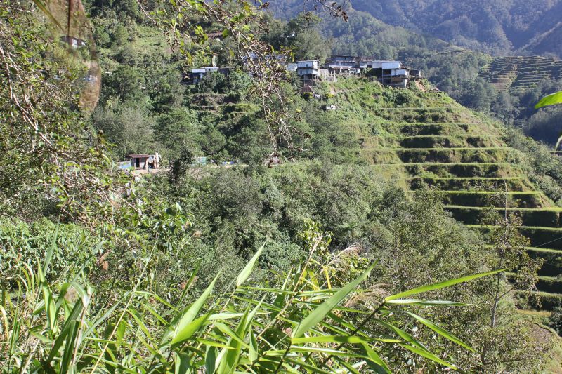 Banaue, provincie Ifugao - rýžové terasy - památka Unesco
