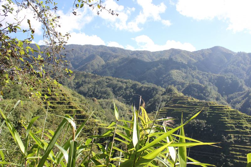 Banaue, provincie Ifugao - rýžové terasy - památka Unesco
