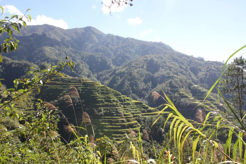 Banaue, provincie Ifugao - rýžové terasy - památka Unesco
