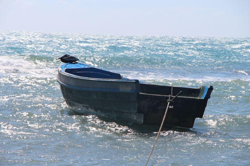 IMG_8364~2.JPG