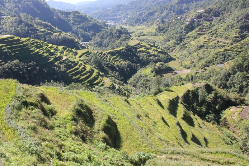 Banaue, provincie Ifugao - rýžové terasy - památka Unesco
