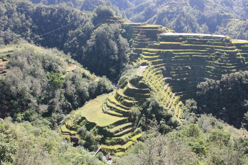 Banaue, provincie Ifugao - rýžové terasy - památka Unesco
