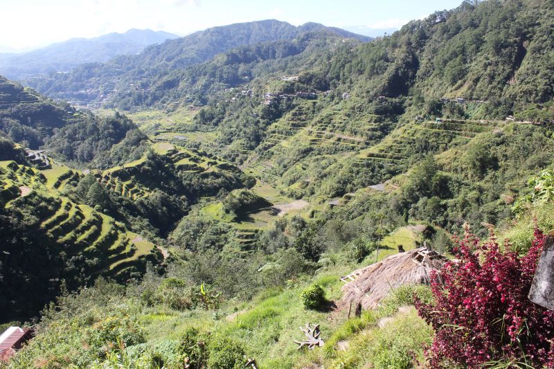 Banaue, provincie Ifugao - rýžové terasy - památka Unesco
