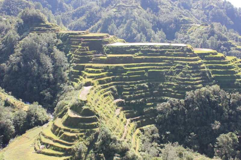 Banaue, provincie Ifugao - rýžové terasy - památka Unesco
