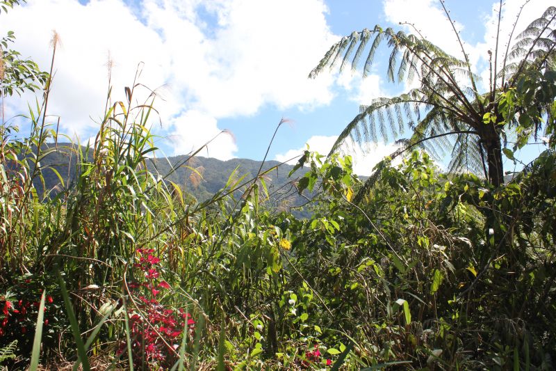 Banaue
