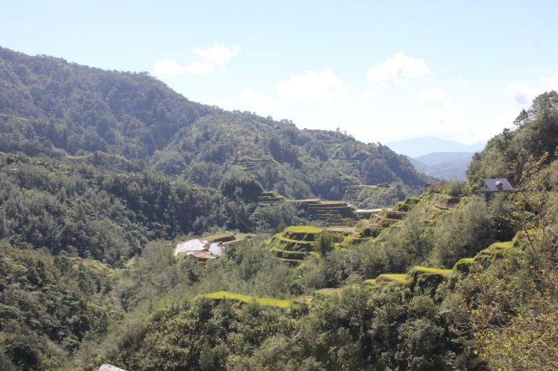 Banaue, provincie Ifugao - rýžové terasy - památka Unesco
