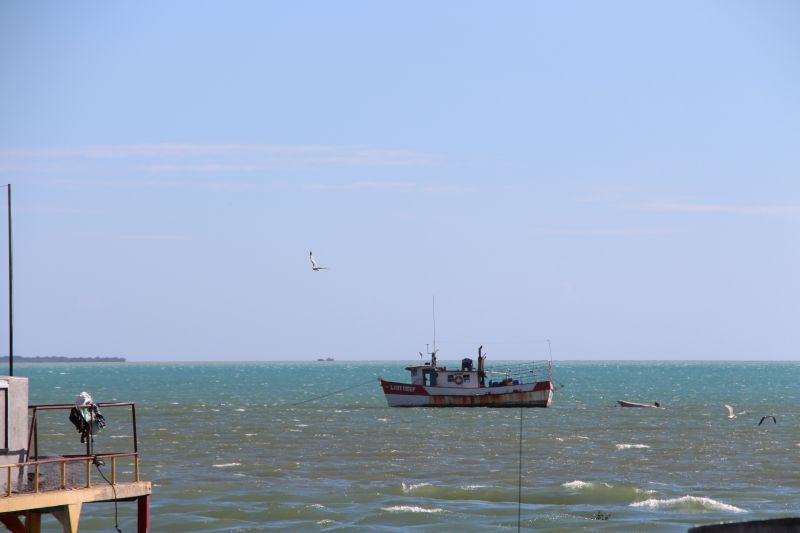 IMG_8408~3.JPG