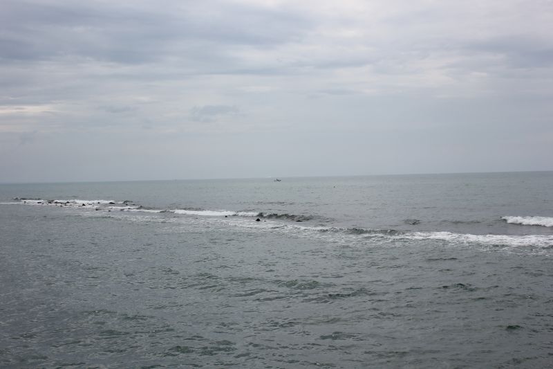 IMG_8411.JPG
