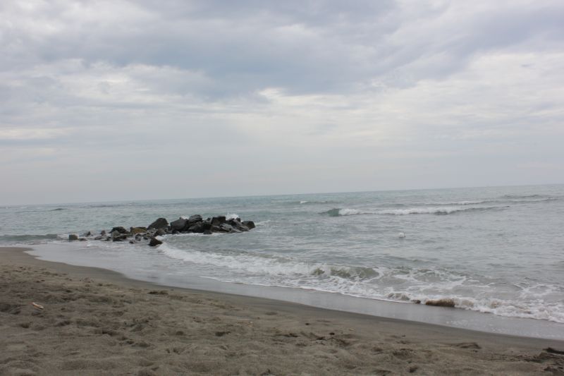 IMG_8417.JPG