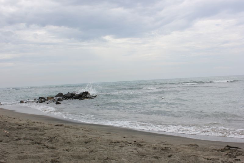 IMG_8418.JPG