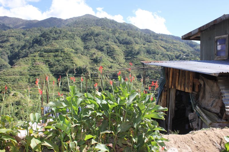 Banaue, provincie Ifugao - rýžové terasy - památka Unesco

