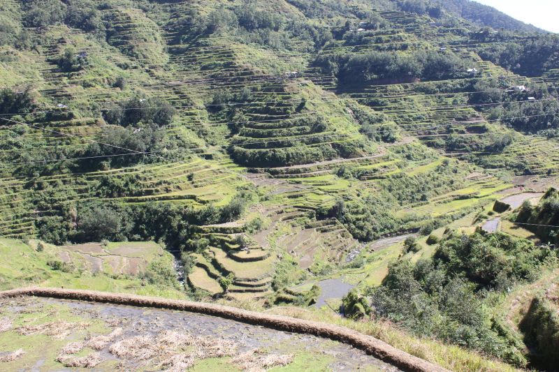Banaue, provincie Ifugao - rýžové terasy - památka Unesco
