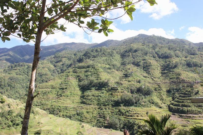 Banaue, provincie Ifugao - rýžové terasy - památka Unesco
