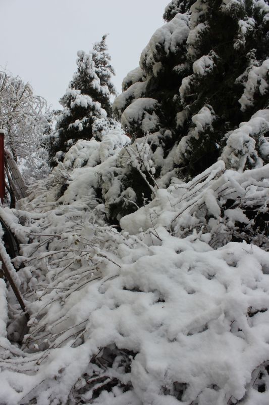 1.březen 2016
