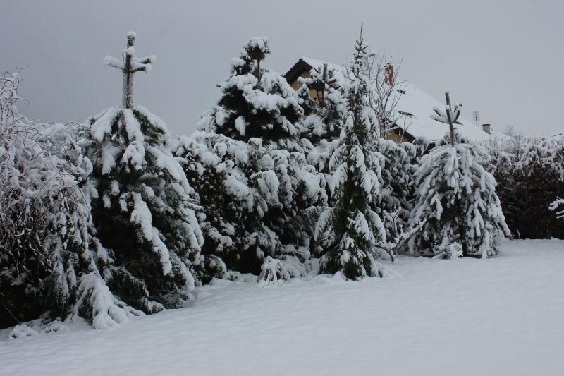 1.březen 2016
