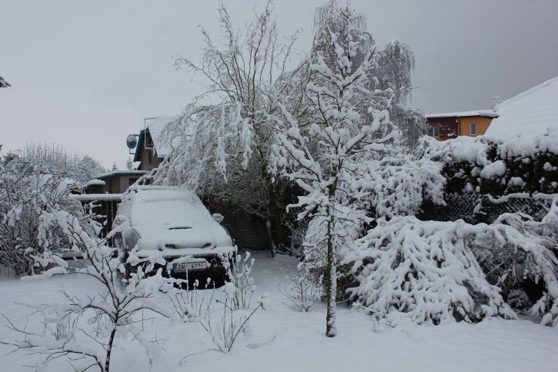 1. březen 2016
1.březen 2016

