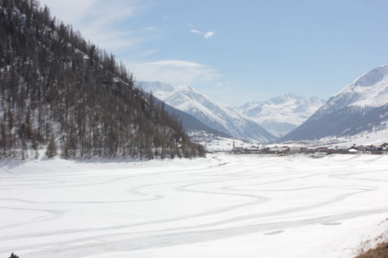 IMG_8791~0.JPG