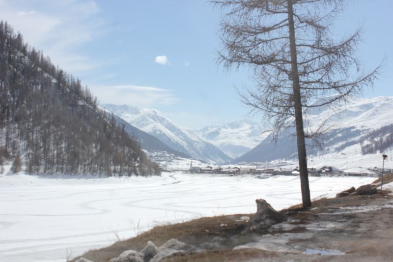 IMG_8795~4.JPG