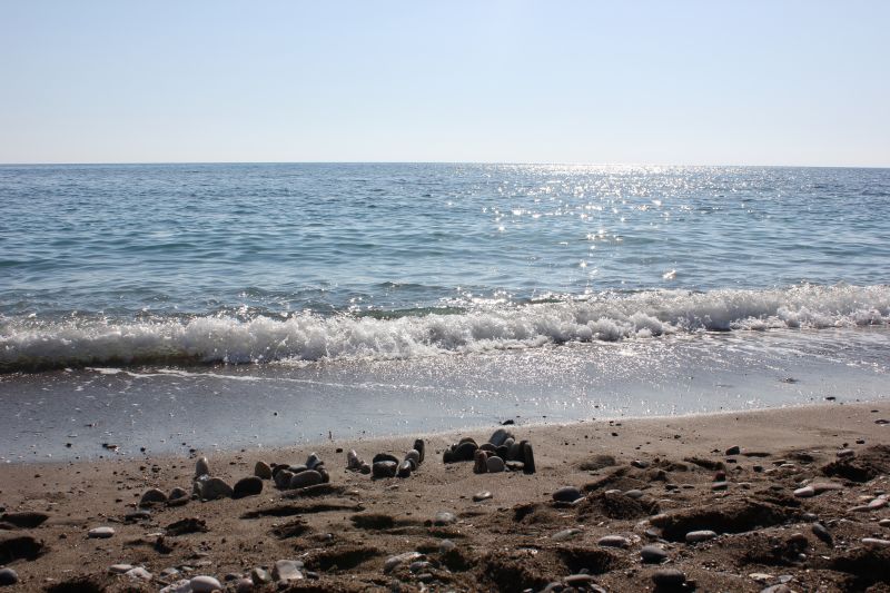 IMG_8813.JPG