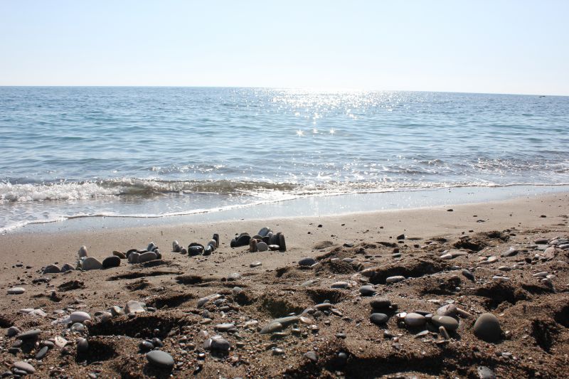 IMG_8820~0.JPG