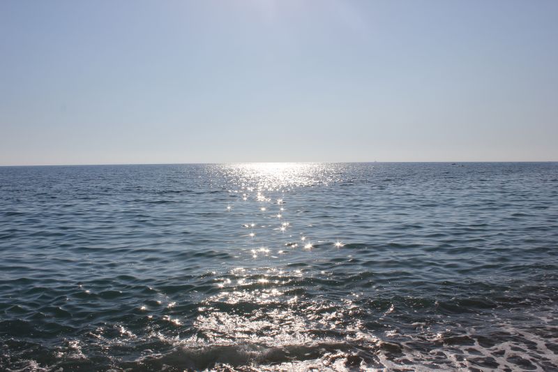 IMG_8831~0.JPG