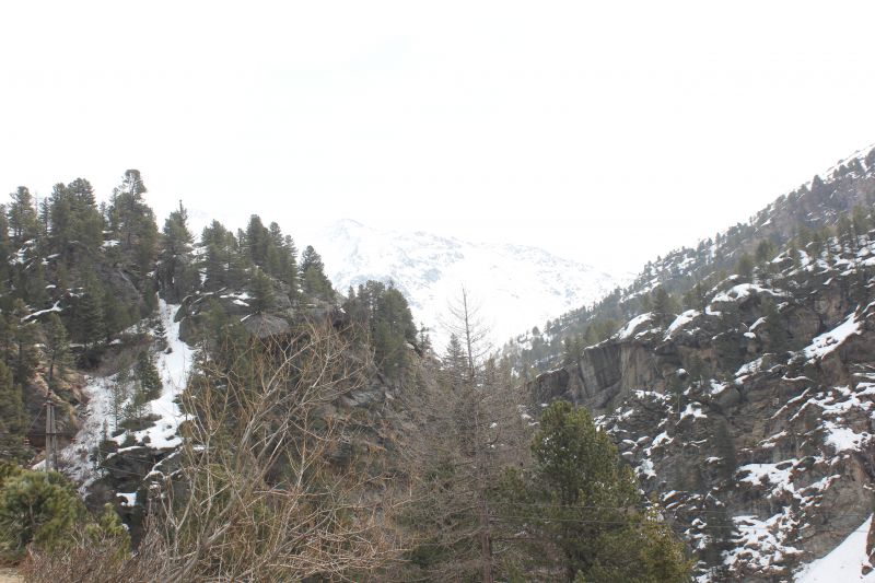 IMG_8999~1.JPG
